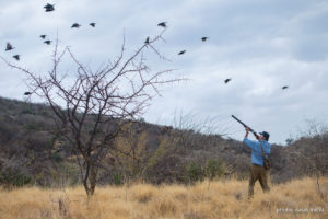 Wingshooting in Africa