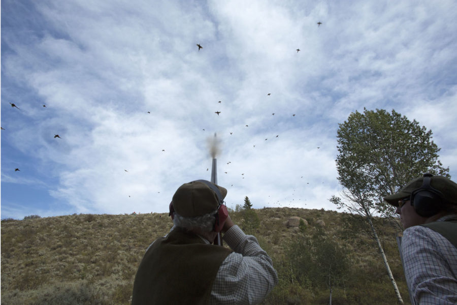 Idaho  – Driven Birds – Premier Driven Pheasant & Partridge