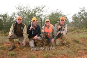 bobwhite quail hunting in Texas
