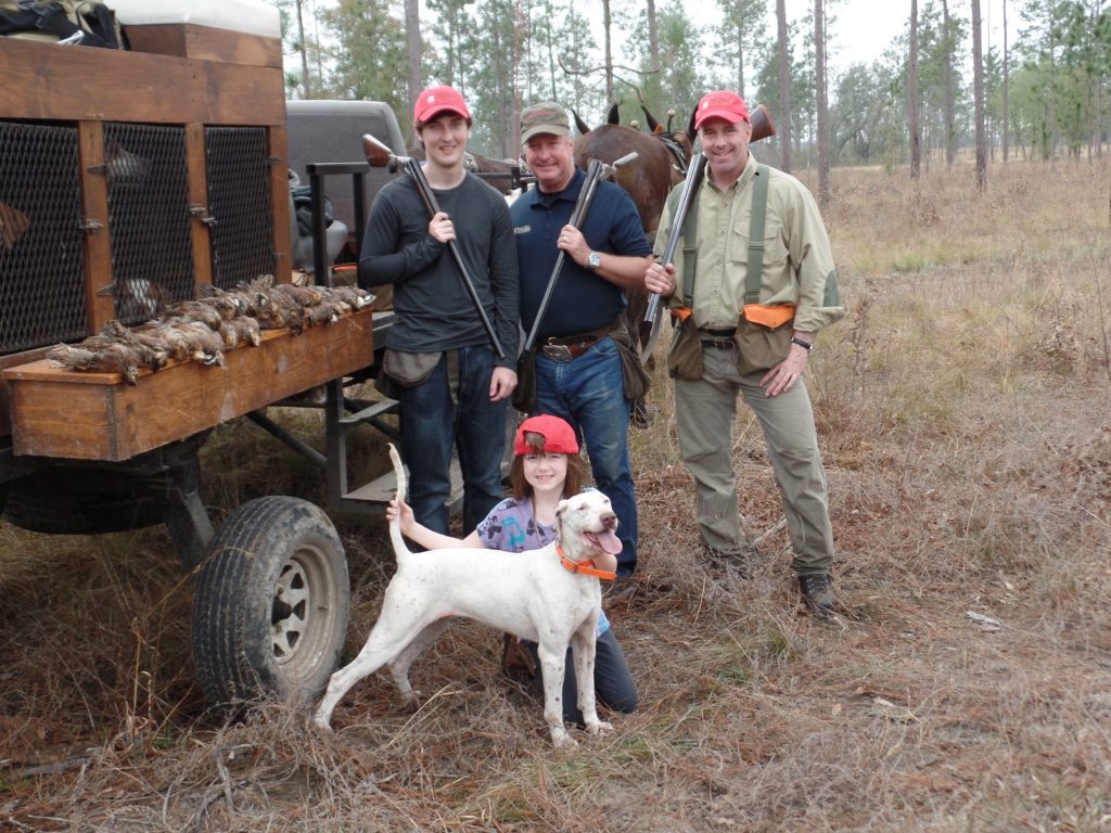 bobwhite hunting in Georgia