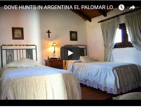 VIDEO: DOVE HUNTS IN ARGENTINA EL PALOMAR LOGE