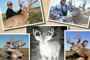 Big Whitetails from Alberta to South Texas