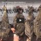 VIDEO: San Juan Lodge – David Denies Bird Hunting