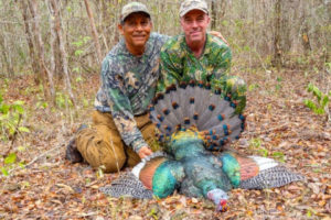 Ocellated Wild Turkey