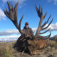 Giant Stags in Patagonia