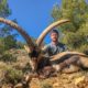 Trip Report: Trophy Ibex in Spain