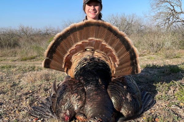 texas turkey hunting