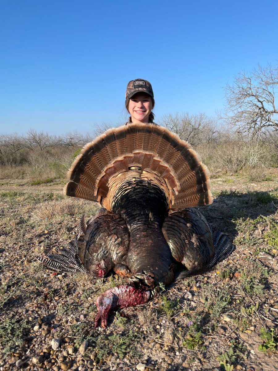 texas turkey hunting