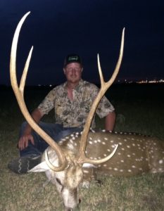 texas axis deer hunting
