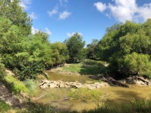 texas turkey hunting