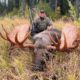 Monster Moose in Alaska!!
