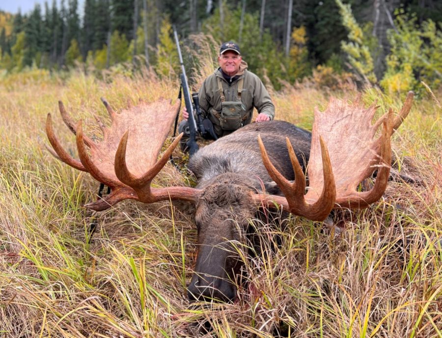 Monster Moose in Alaska!!