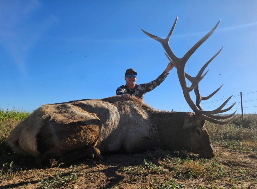 A Fantastic 2025 Elk Season! Check out the bulls
