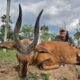 Trip Report: Fantastic Uganda Safari!