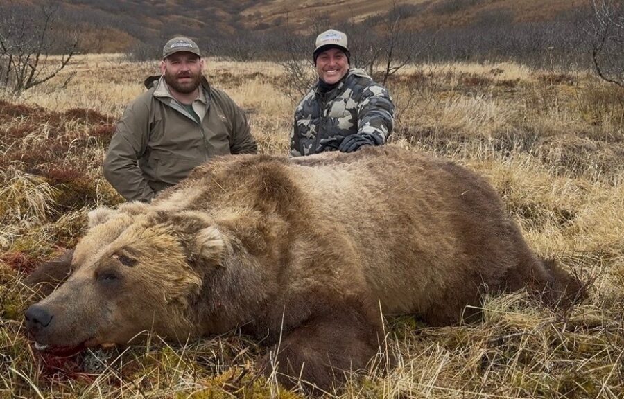 Brown Bear Report….Best Season Ever – Giant Bears!